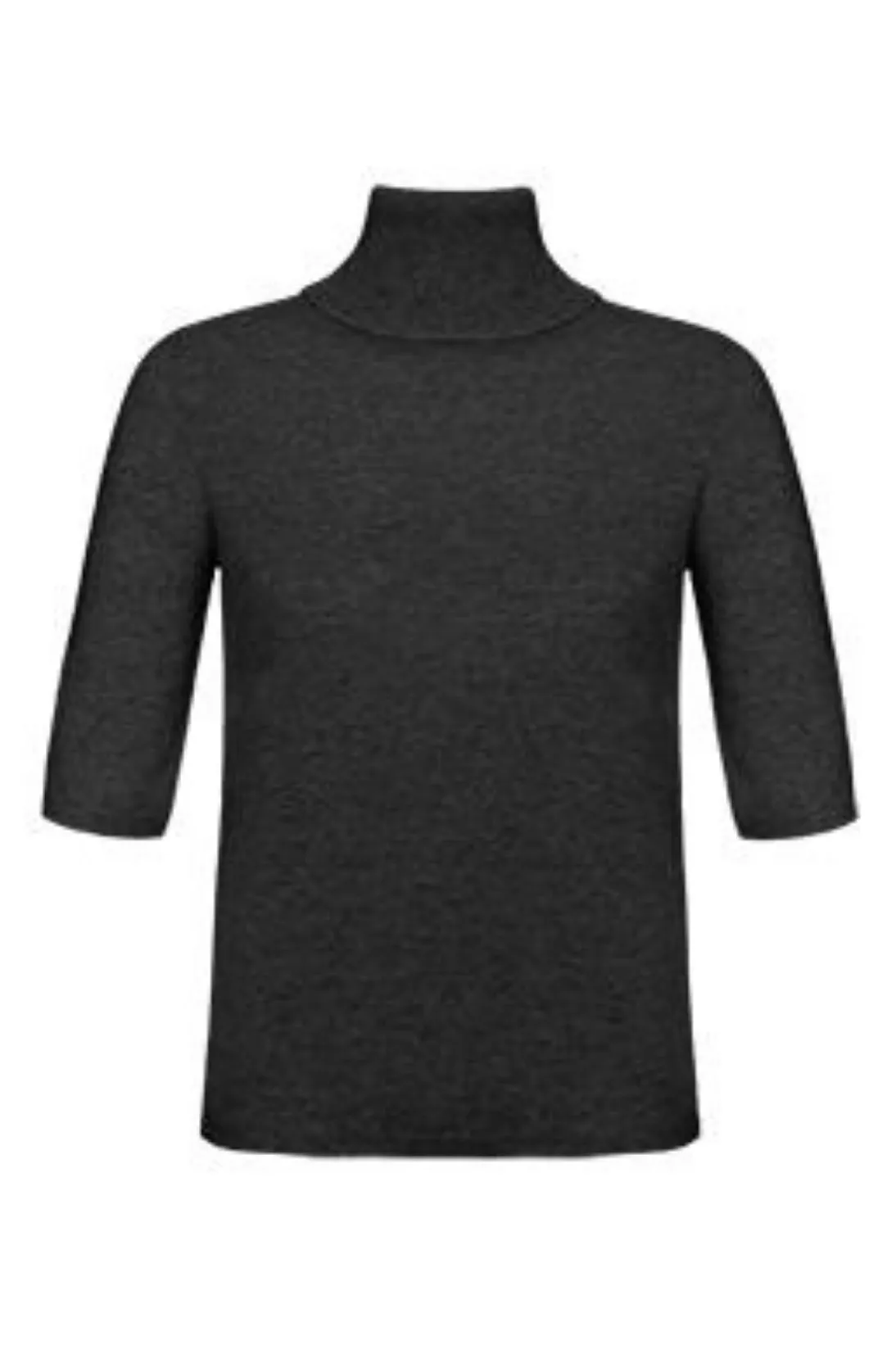 ELBOW SLEEVE TURTLENECK