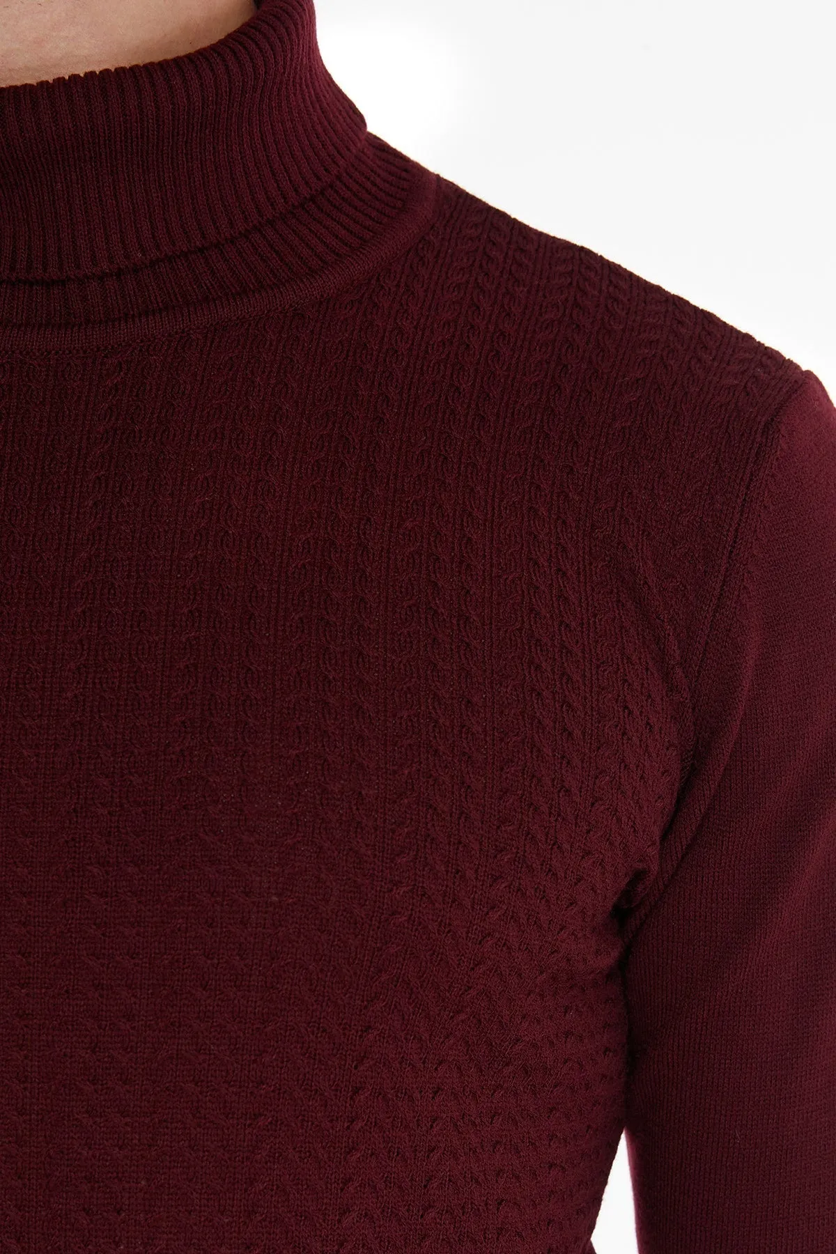 Regular Fit Light Burgundy Turtleneck Sweater