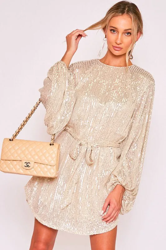 The Charlisa Sequin Party Dress