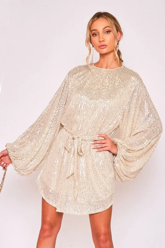 The Charlisa Sequin Party Dress