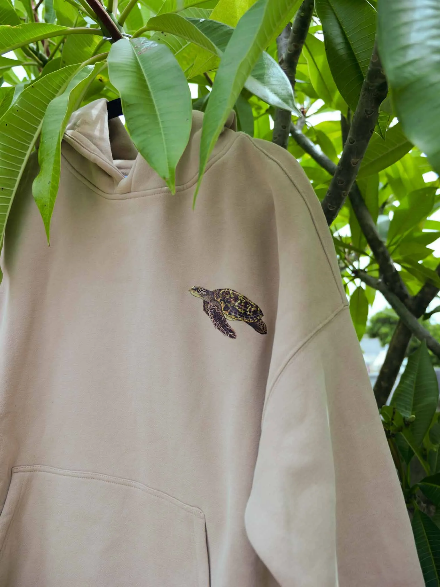 TURTLE HOODIE